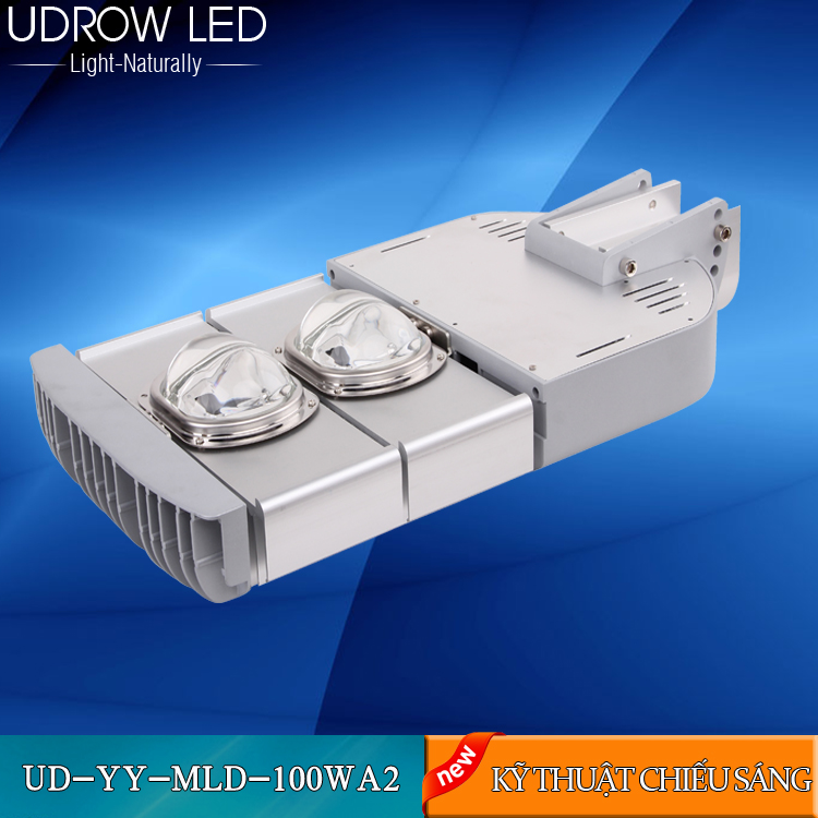 UD-LD-011-100W